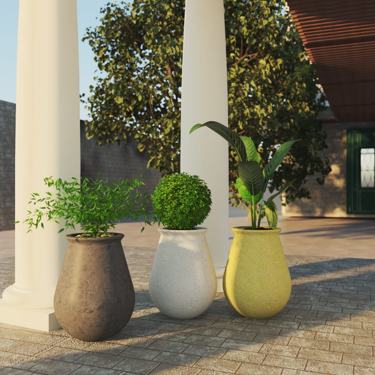 Beton Kaktüs Saksısı