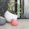 Beton Saksı ile Bahçenizde Şık ve Pratik Çözümler