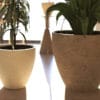 Beton Saksı ile Dış Mekan Dekorasyonu Nasıl Yapılır?