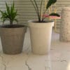 Beton Saksı ile İç Mekanlarda Yeşil Alanlar Yaratın