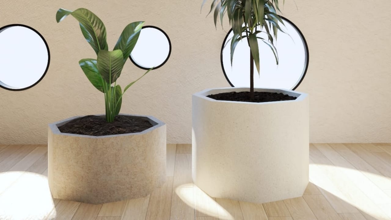 Beton Saksıların Bitki Yetiştirme için İdeal Boyutları