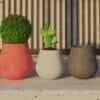 Beton Saksıların Modern ve Klasik Tasarımları