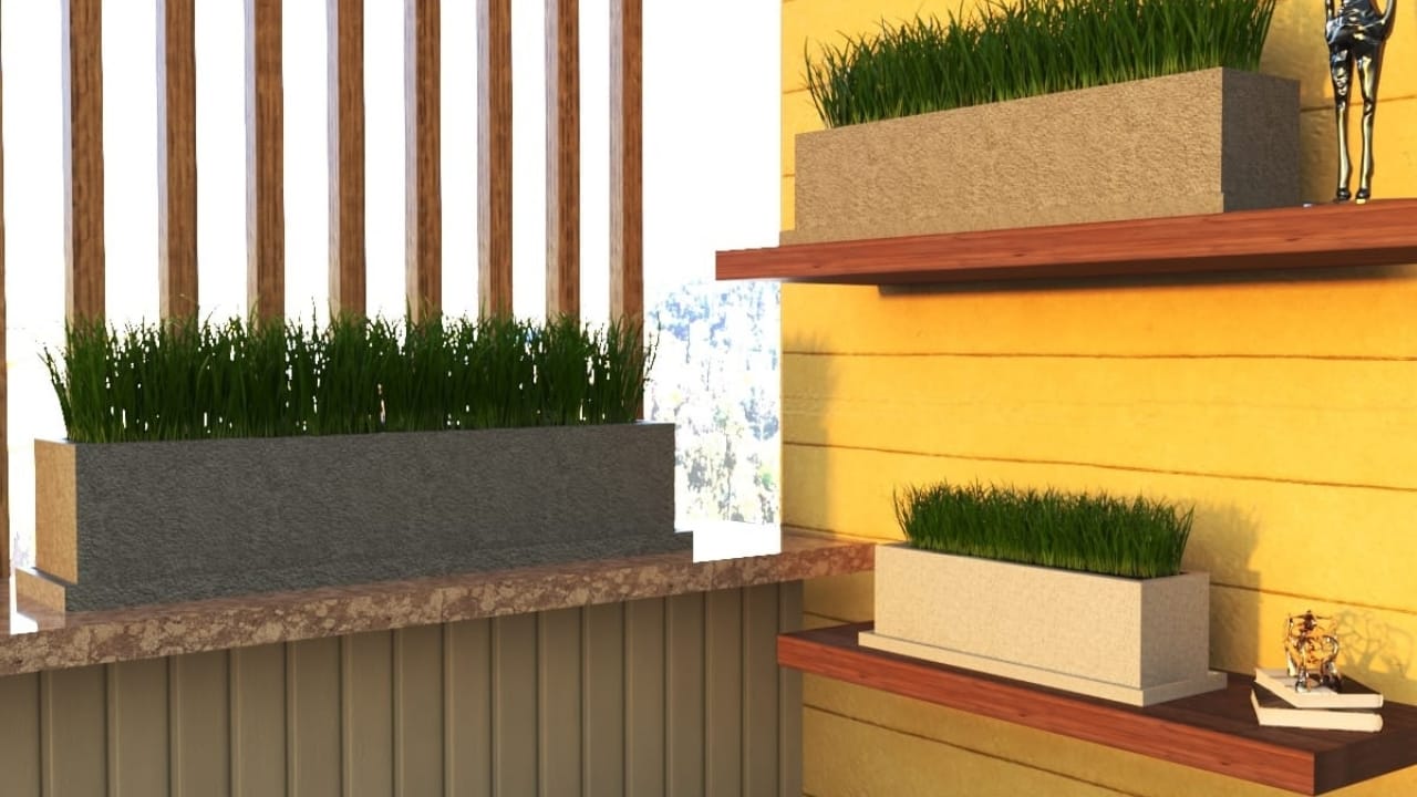 Büyük Beton Saksı ile Şık ve Modern Bahçe Tasarımı