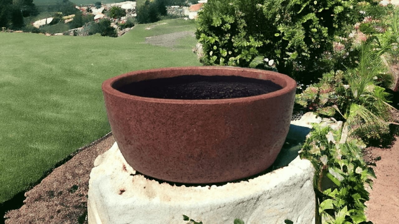 Büyük Beton Saksıların Bahçe ve Teraslarda Kullanımı