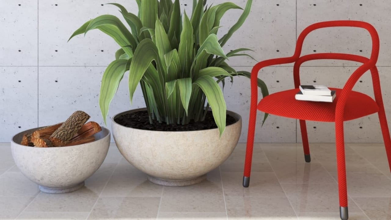 Büyük Beton Saksıların Dayanıklılığı ve Avantajları